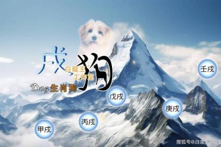 2026年属狗人灾厄趋势与全年运势详解