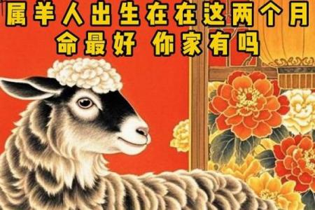 91年属羊女性哪个月出生旺夫