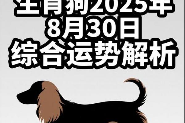 属狗人一生的三大宿命