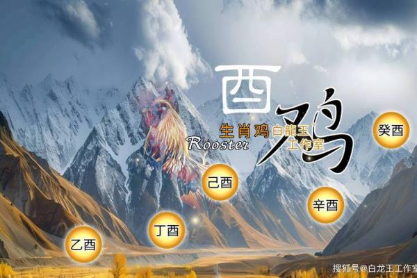 2026年主动追求属鸡女性的生肖是谁