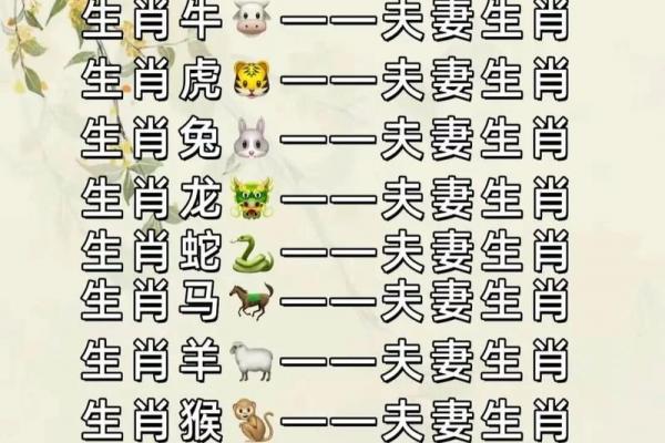 属兔女性送亲最佳选择