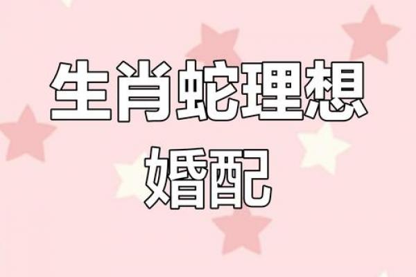 属蛇男最易征服的属相女性