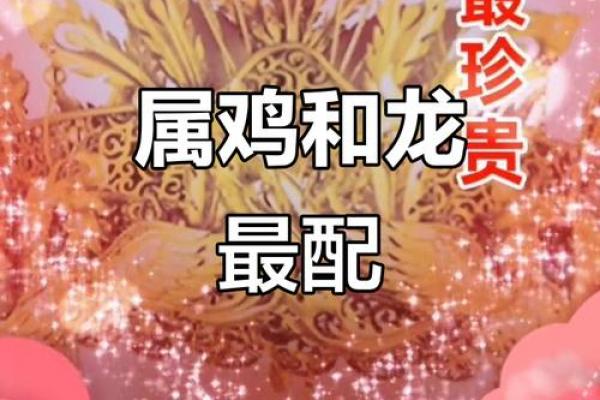 属鸡人最佳伴侣与最深爱之人