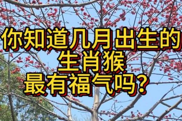 92年属猴女性哪个月出生运势佳