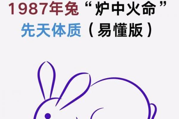 土马命与炉中火兔是否相克