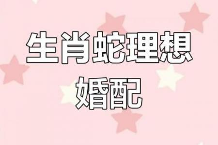属蛇男最易征服的属相女性