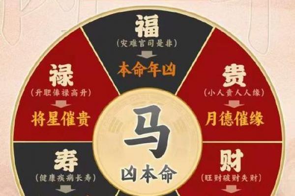 2026马年对属马人运势影响