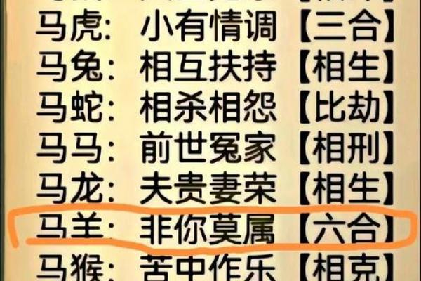 两口子同属马吉利吗