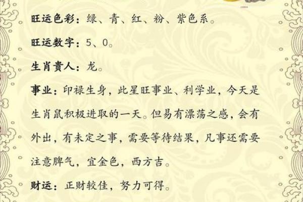 属鼠人最重视谁