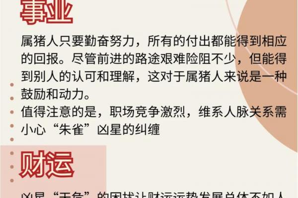 属猪人这辈子最旺的行业