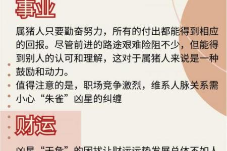 属猪人这辈子最旺的行业