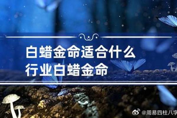白蜡金最怕的五行属性