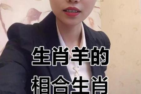 金羊命与哪些命相配