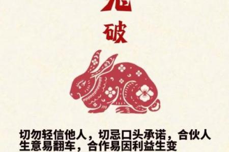2026年属兔者冲太岁化解方法