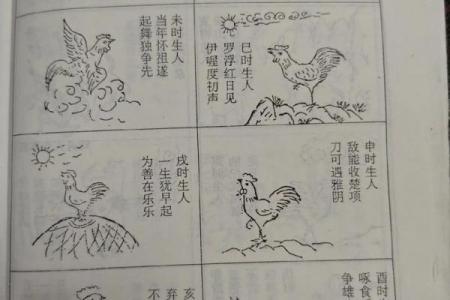 农历三月属鸡男命是否命途多舛