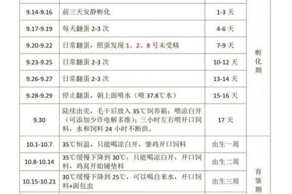 几月出生的鸡最好