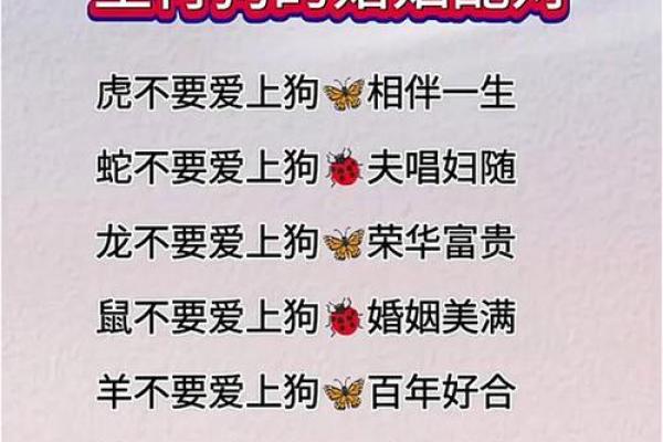 属狗男最易征服的属相女性