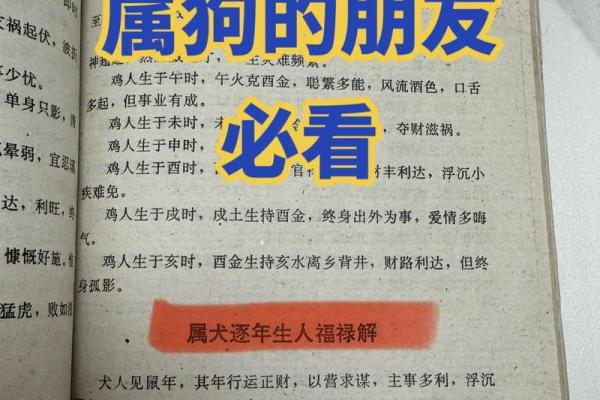 属狗男最易征服的属相女性