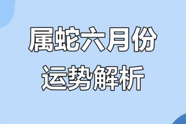 深入理解属蛇2026年婚姻运势如何