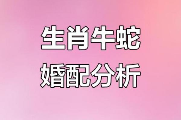 2026年属牛女性婚姻对象预测