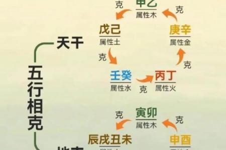 金狗命与大海水命是否相克