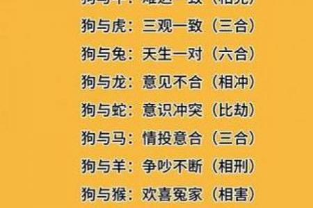 属狗男最易征服的属相女性