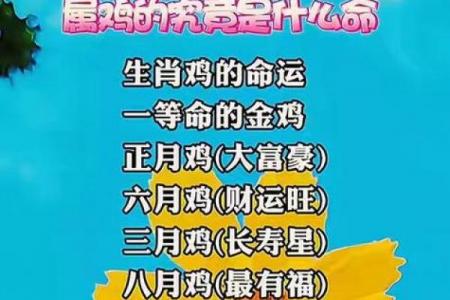 属鸡者离婚年份预测