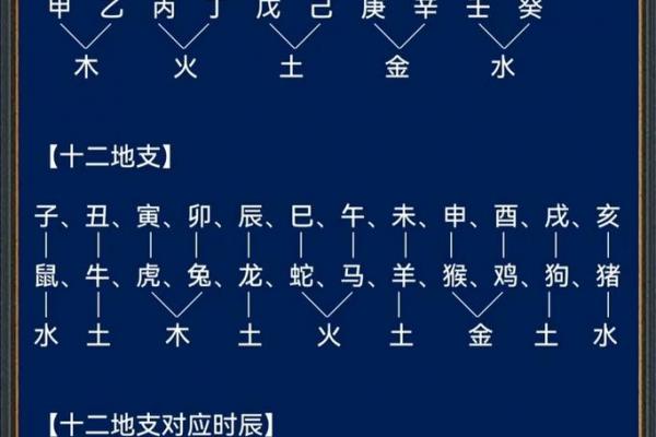 地支与五行对应关系表
