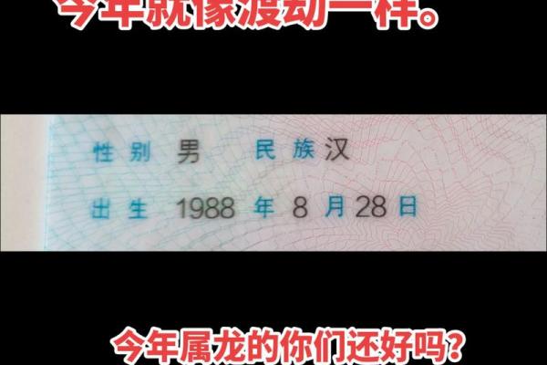 金龙命一般人难驾驭