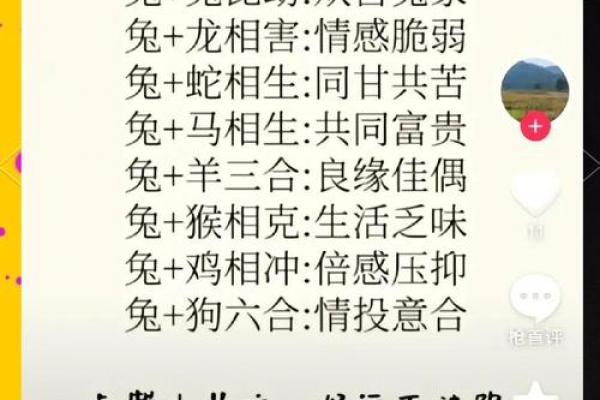 1999年出生属兔城墙土命男性运势解析