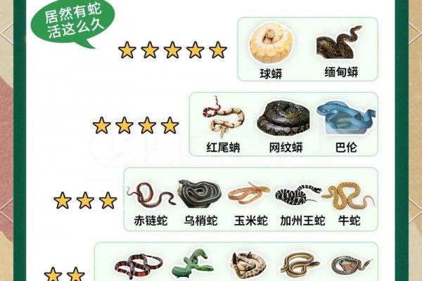 土蛇与水虎是否相合