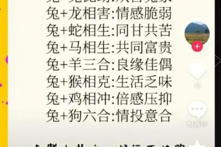 1999年出生属兔城墙土命男性运势解析