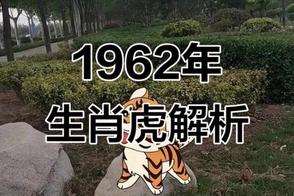 1962年属虎人晚年运势解析