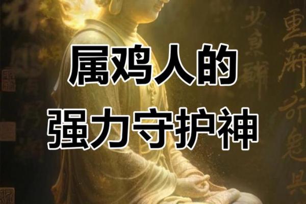 属鸡人最重视谁