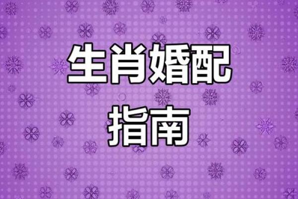 猴女命中注定与何生肖相伴一生