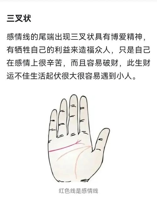 手相学怎么看财运和婚姻 命理师揭秘生命线感情线真相