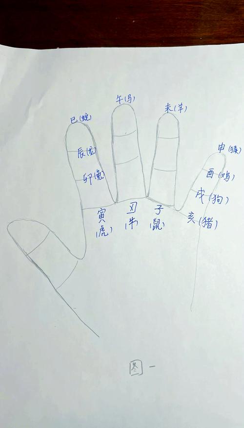 手相纹路隐藏运势秘密 十二生肖各有不同解读