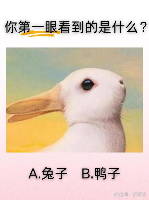 性格心理测试