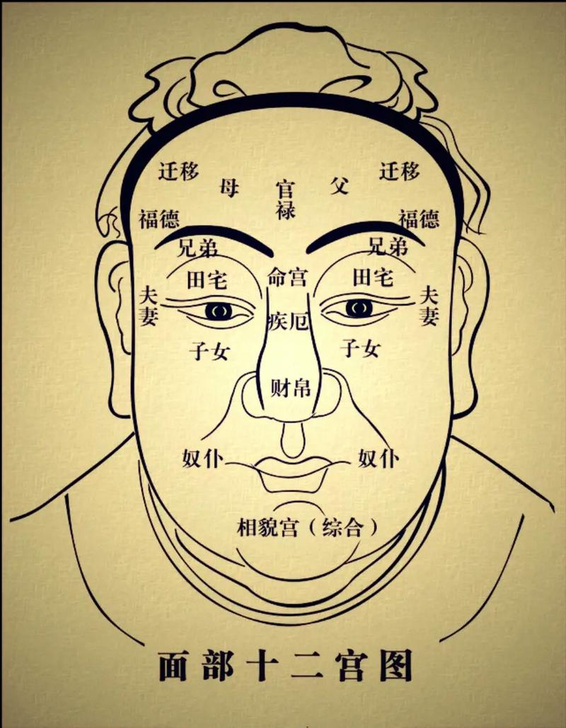 面相分析