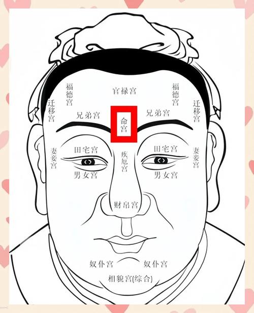 面相分析