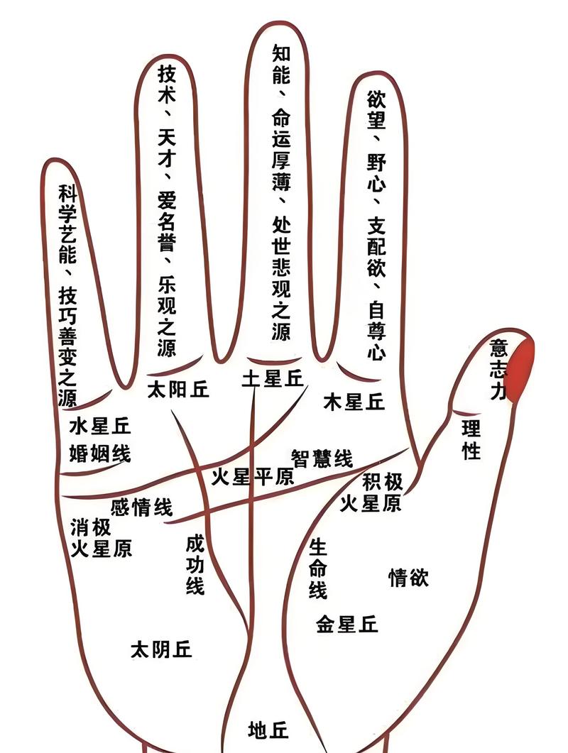 手相生命线
