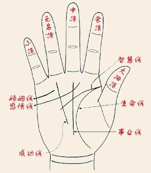 手相生命线