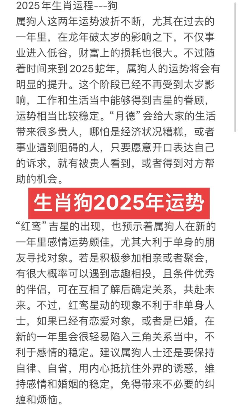 金狗命怎么样