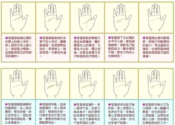 手相智慧线