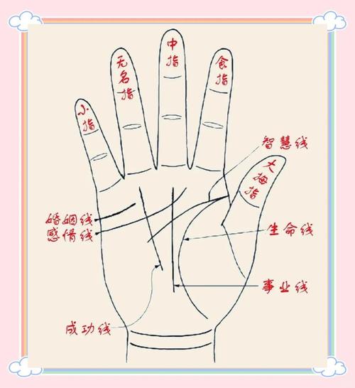 手相命运线解读_十二生肖命运线特征_手相命运线