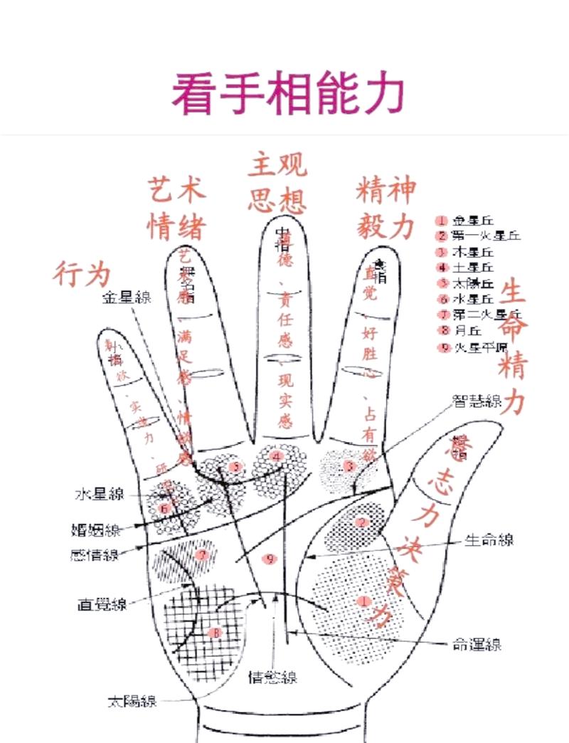 手相命运线解读_手相命运线_十二生肖命运线特征