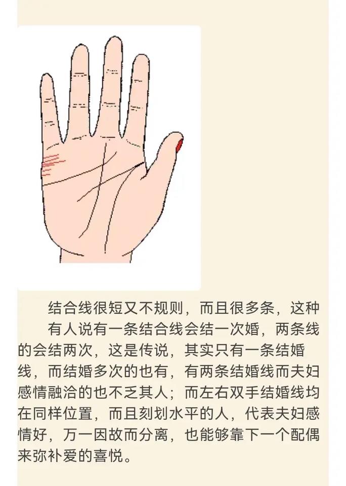 婚姻线数量解读_婚姻线断裂代表意义_手相婚姻线