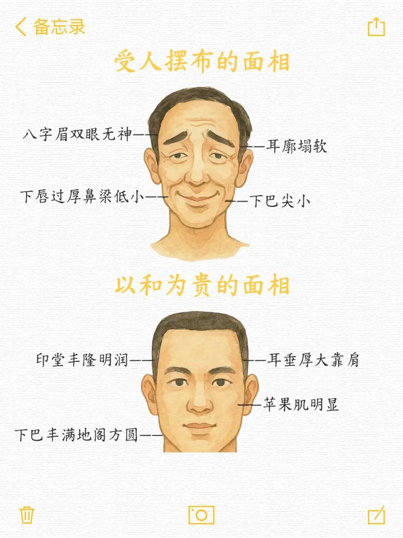 额头饱满运势影响_面相学十二生肖运势_面相与命运
