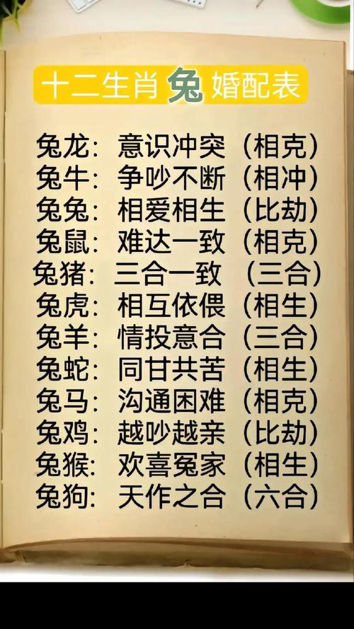 土马命与炉中火兔相生关系_土马命和炉中火兔相克吗_属马属兔婚恋配对分析