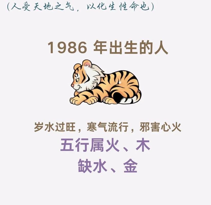 86虎坐北朝南最佳办公桌位置_1986属虎办公桌方位摆放_86虎办公桌的最佳方位